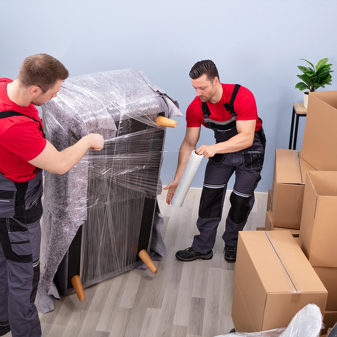 تغليف احترافي